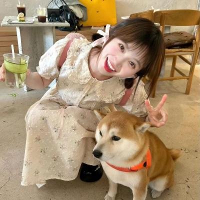 捕风追影